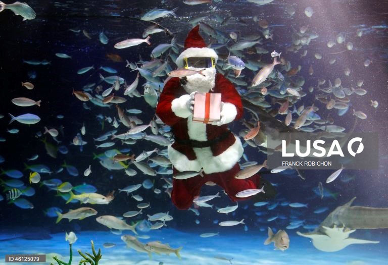 Pai Natal no Aquário de Tóquio