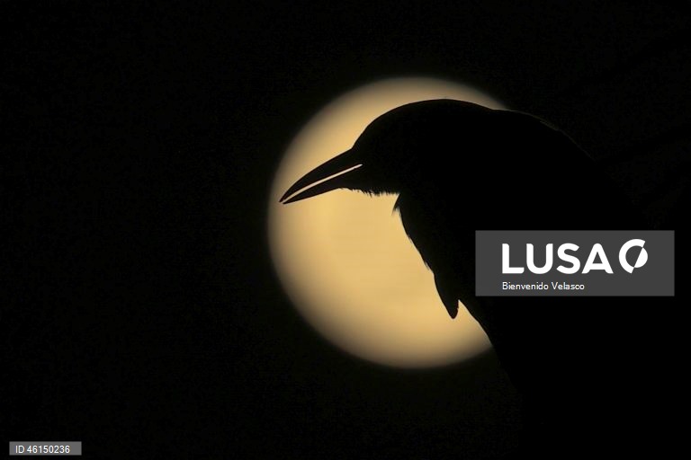 Superlua de dezembro