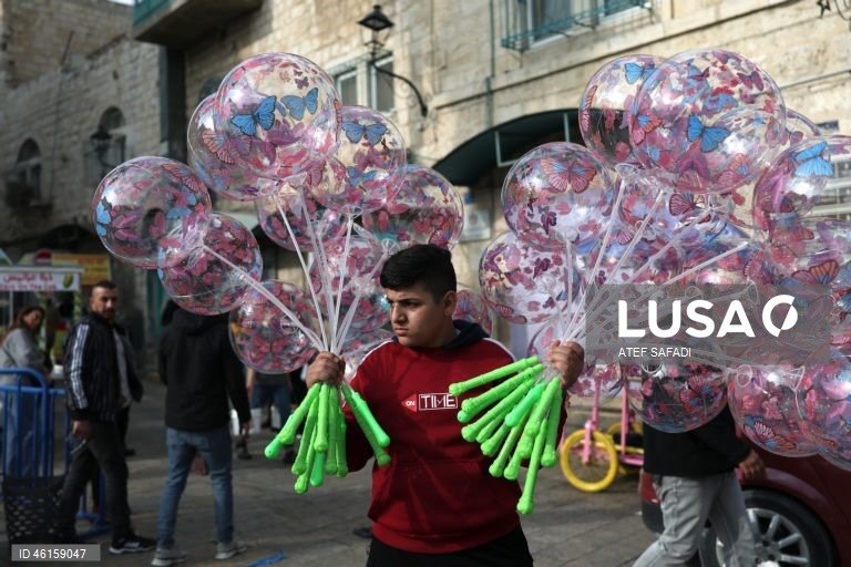 Cisjordânia: Belém acenderá a árvore de Natal dois anos depois.
