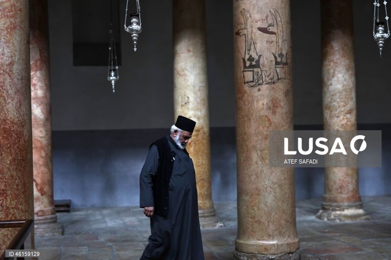 Cisjordânia: Belém acenderá a árvore de Natal dois anos depois.