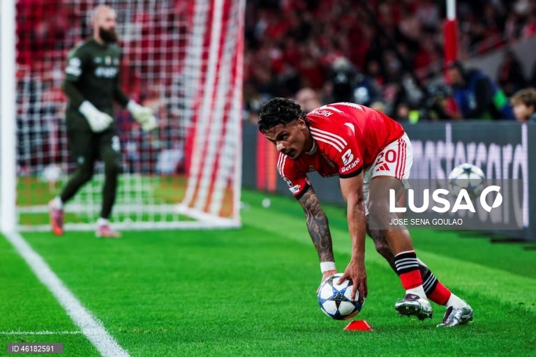 O Benfica conseguiu hoje o segundo triunfo consecutivo na fase de liga da Liga dos Campeões em futebol, mantendo-se na corrida ao apuramento, ao vencer em casa o campeão italiano Nápoles por 2-0, em encontro da sexta jornada.
