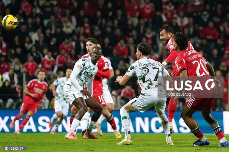 I Liga: Moreirense vs Benfica