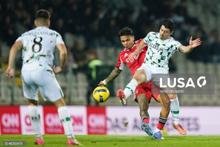 I Liga: Moreirense vs Benfica
