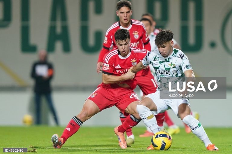 I Liga: Moreirense vs Benfica