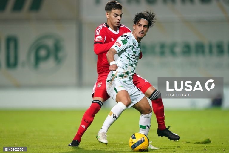 I Liga: Moreirense vs Benfica