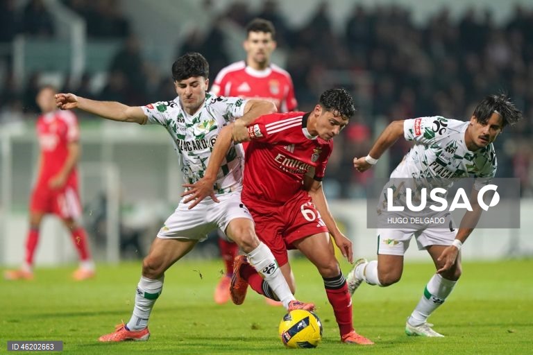 I Liga: Moreirense vs Benfica