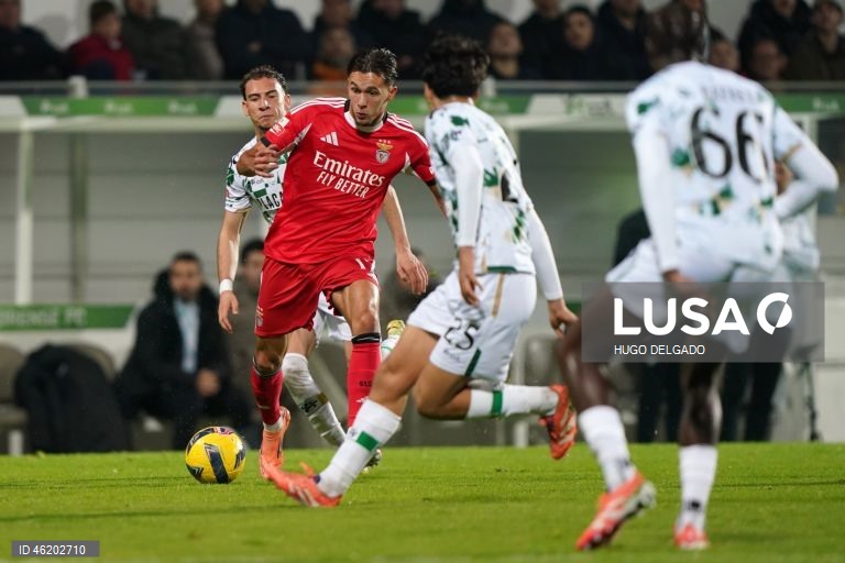 I Liga: Moreirense vs Benfica