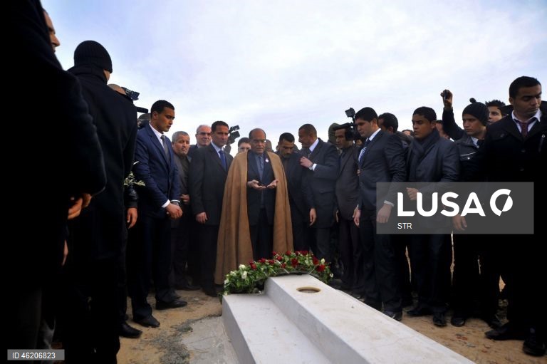 15º aniversário da Primavera Árabe