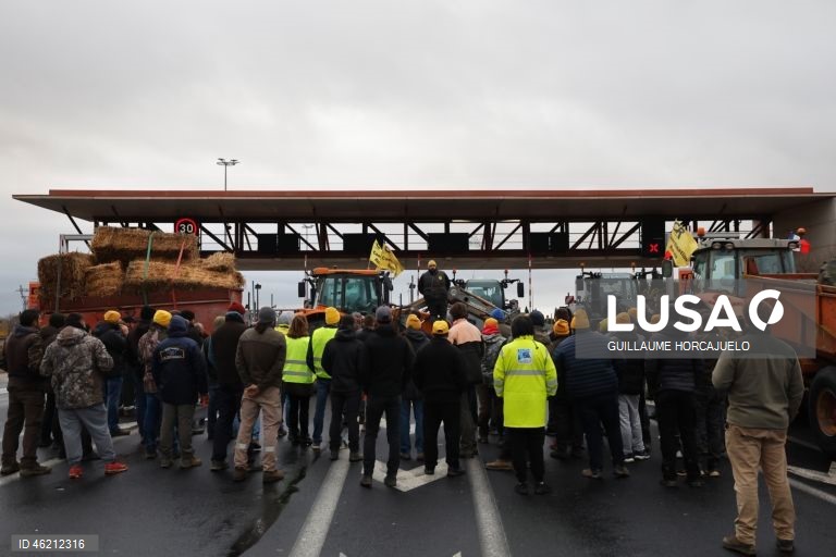 França: Agricultores protestam contra abate de rebanhos inteiros durante surtos de doença cutânea nodular