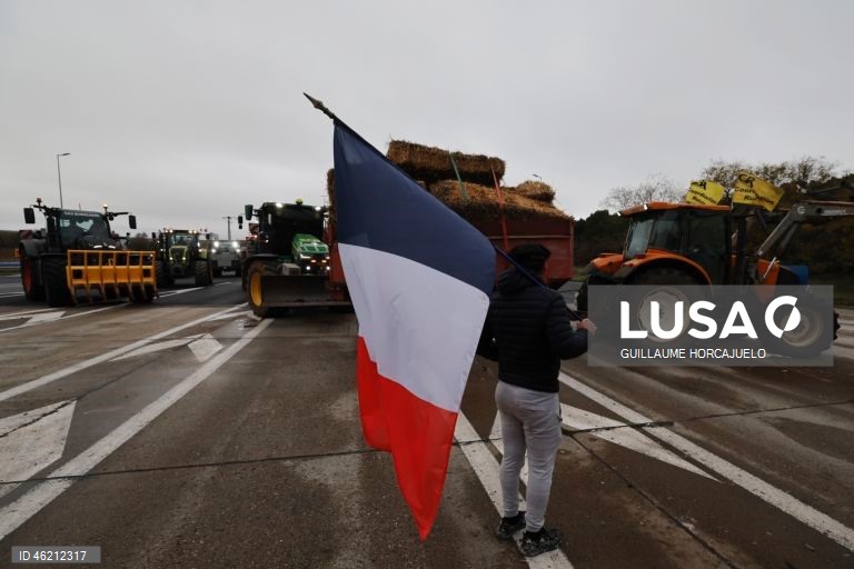 França: Agricultores protestam contra abate de rebanhos inteiros durante surtos de doença cutânea nodular