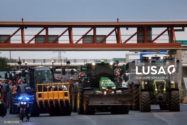 França: Agricultores protestam contra abate de rebanhos inteiros durante surtos de doença cutânea nodular