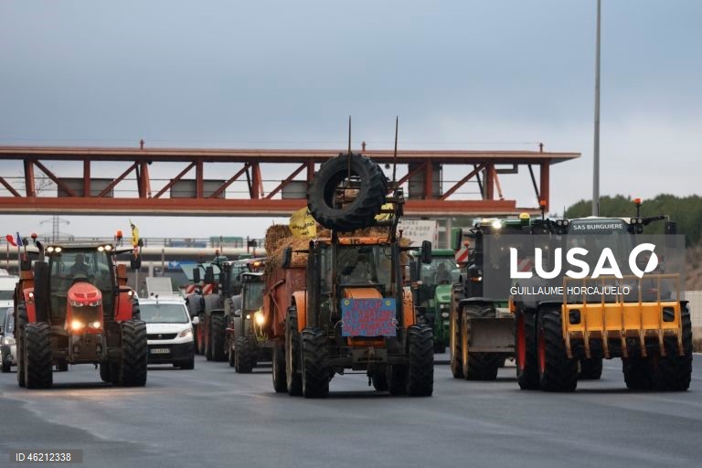 França: Agricultores protestam contra abate de rebanhos inteiros durante surtos de doença cutânea nodular