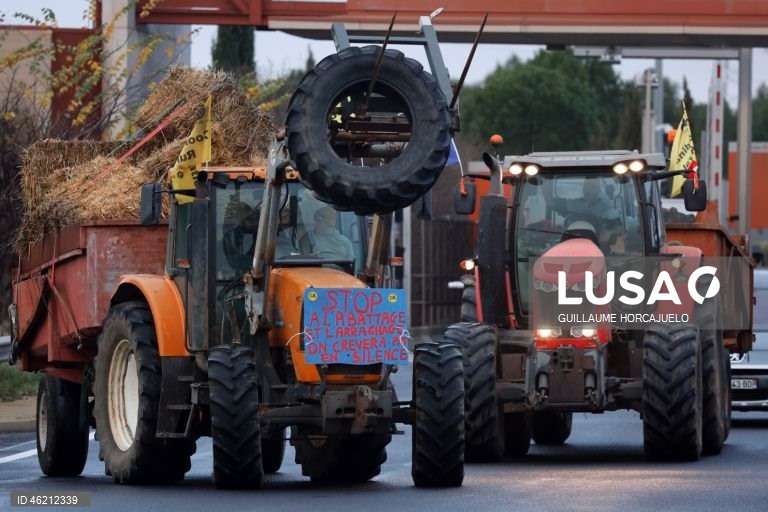França: Agricultores protestam contra abate de rebanhos inteiros durante surtos de doença cutânea nodular