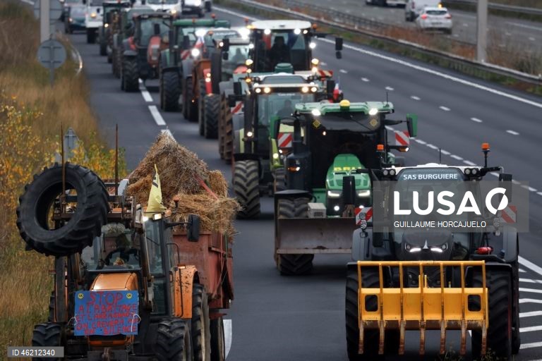 França: Agricultores protestam contra abate de rebanhos inteiros durante surtos de doença cutânea nodular