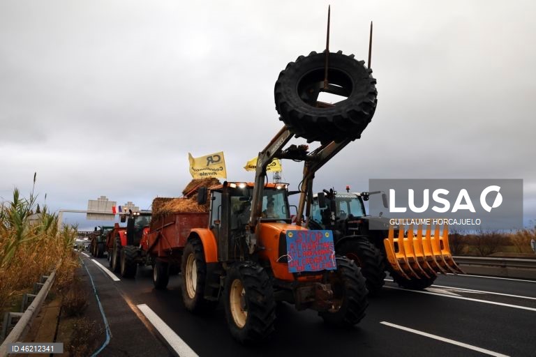 França: Agricultores protestam contra abate de rebanhos inteiros durante surtos de doença cutânea nodular
