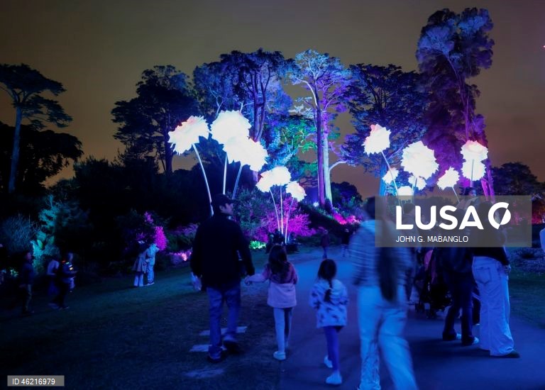EUA: Instalação de luzes no Jardim Botânico de São Francisco
