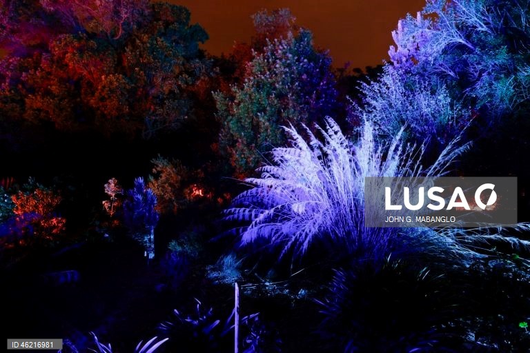 EUA: Instalação de luzes no Jardim Botânico de São Francisco