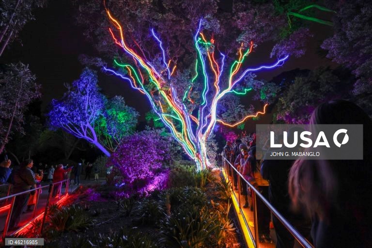 EUA: Instalação de luzes no Jardim Botânico de São Francisco