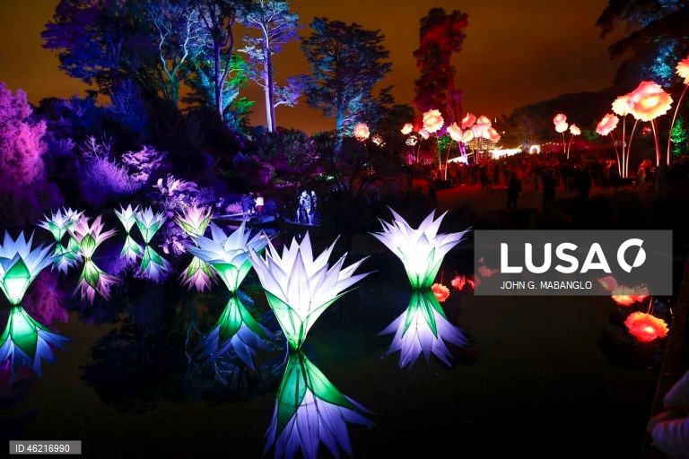 EUA: Instalação de luzes no Jardim Botânico de São Francisco