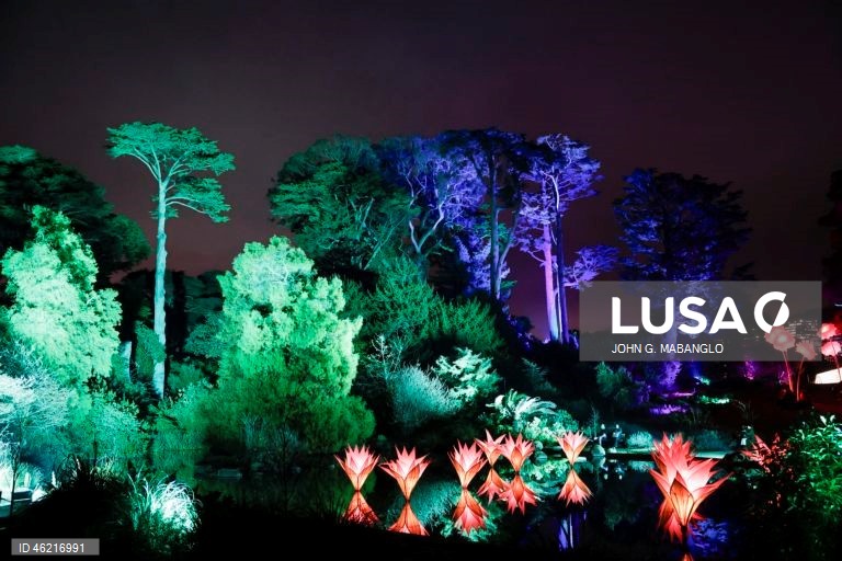 EUA: Instalação de luzes no Jardim Botânico de São Francisco
