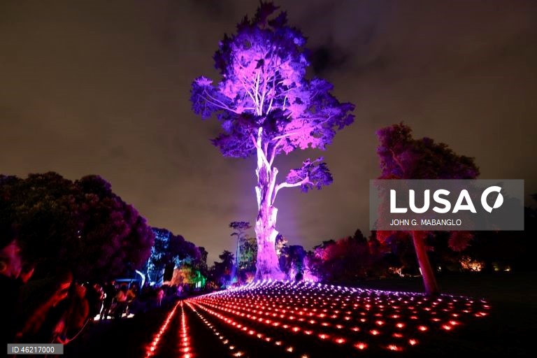 EUA: Instalação de luzes no Jardim Botânico de São Francisco