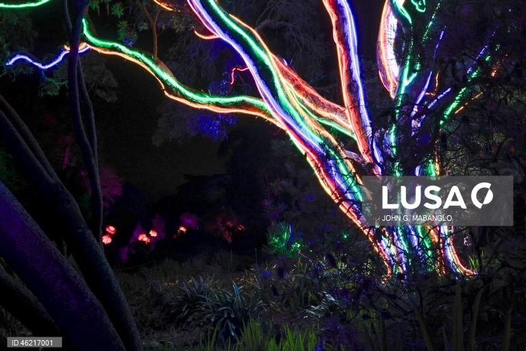 EUA: Instalação de luzes no Jardim Botânico de São Francisco