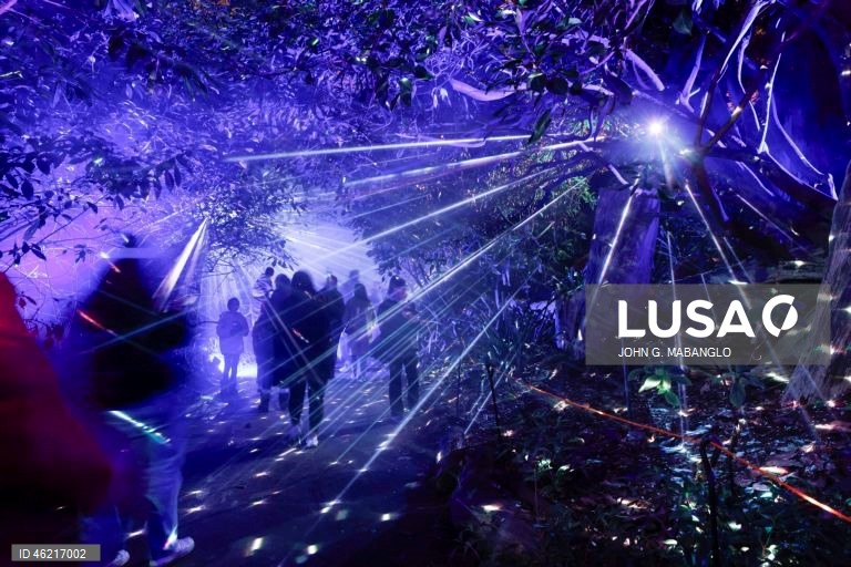 EUA: Instalação de luzes no Jardim Botânico de São Francisco