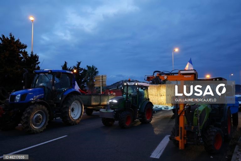 As autoridades francesas decidiram abater rebanhos inteiros de gado se fosse detetado um caso de doença da pele nodular, uma decisão criticada pelos agricultores já afetados por proibições de exportação e graves perdas económicas. Vários surtos da doença da pele nodular foram detetados em França nos últimos meses. O vírus, transmitido por insetos, afeta bovinos e búfalos, mas não apresenta riscos para a saúde humana.