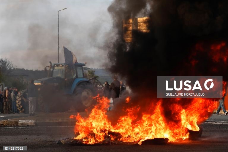 As autoridades francesas decidiram abater rebanhos inteiros de gado se fosse detetado um caso de doença da pele nodular, uma decisão criticada pelos agricultores já afetados por proibições de exportação e graves perdas económicas. Vários surtos da doença da pele nodular foram detetados em França nos últimos meses. O vírus, transmitido por insetos, afeta bovinos e búfalos, mas não apresenta riscos para a saúde humana.