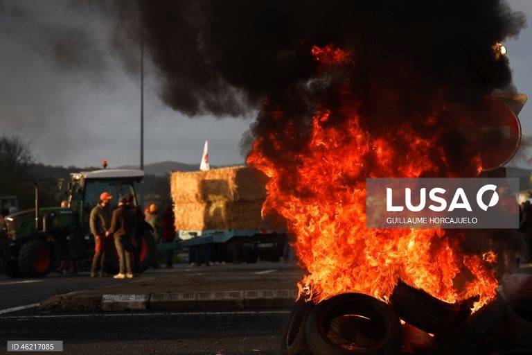 As autoridades francesas decidiram abater rebanhos inteiros de gado se fosse detetado um caso de doença da pele nodular, uma decisão criticada pelos agricultores já afetados por proibições de exportação e graves perdas económicas. Vários surtos da doença da pele nodular foram detetados em França nos últimos meses. O vírus, transmitido por insetos, afeta bovinos e búfalos, mas não apresenta riscos para a saúde humana.