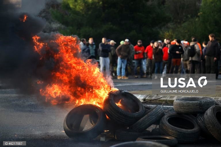 As autoridades francesas decidiram abater rebanhos inteiros de gado se fosse detetado um caso de doença da pele nodular, uma decisão criticada pelos agricultores já afetados por proibições de exportação e graves perdas económicas. Vários surtos da doença da pele nodular foram detetados em França nos últimos meses. O vírus, transmitido por insetos, afeta bovinos e búfalos, mas não apresenta riscos para a saúde humana.