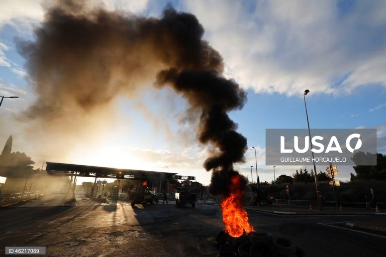 As autoridades francesas decidiram abater rebanhos inteiros de gado se fosse detetado um caso de doença da pele nodular, uma decisão criticada pelos agricultores já afetados por proibições de exportação e graves perdas económicas. Vários surtos da doença da pele nodular foram detetados em França nos últimos meses. O vírus, transmitido por insetos, afeta bovinos e búfalos, mas não apresenta riscos para a saúde humana.