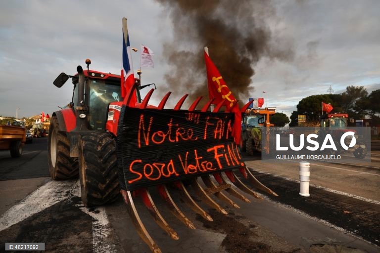 As autoridades francesas decidiram abater rebanhos inteiros de gado se fosse detetado um caso de doença da pele nodular, uma decisão criticada pelos agricultores já afetados por proibições de exportação e graves perdas económicas. Vários surtos da doença da pele nodular foram detetados em França nos últimos meses. O vírus, transmitido por insetos, afeta bovinos e búfalos, mas não apresenta riscos para a saúde humana.