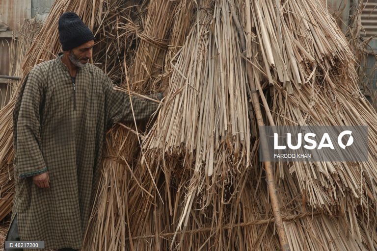 Índia: Tecelagem de esteiras tradicionais de palha em Srinagar, Caxemira