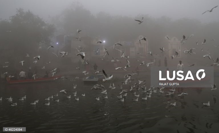 Delhi vai aplicar a política «Sem PUC, sem combustível» para combater a poluição atmosférica