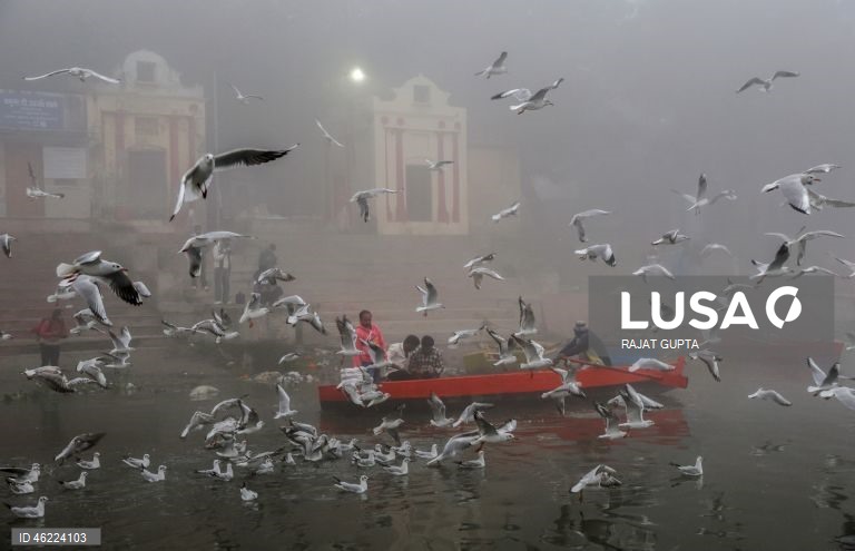 Delhi vai aplicar a política «Sem PUC, sem combustível» para combater a poluição atmosférica