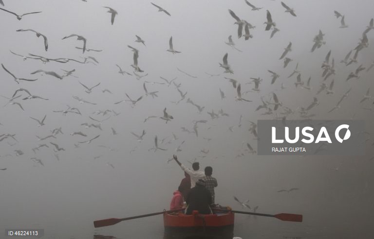 Delhi vai aplicar a política «Sem PUC, sem combustível» para combater a poluição atmosférica