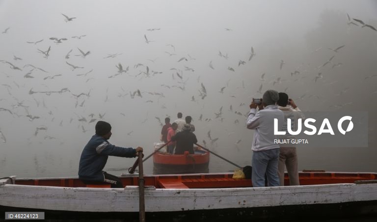 Delhi vai aplicar a política «Sem PUC, sem combustível» para combater a poluição atmosférica