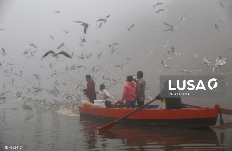 Delhi vai aplicar a política «Sem PUC, sem combustível» para combater a poluição atmosférica