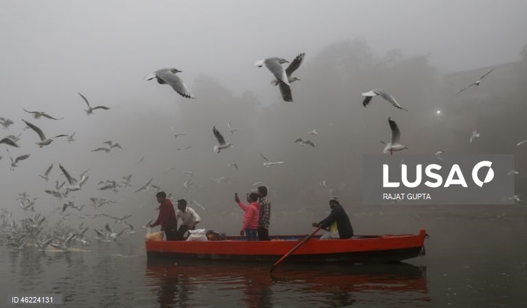 Delhi vai aplicar a política «Sem PUC, sem combustível» para combater a poluição atmosférica