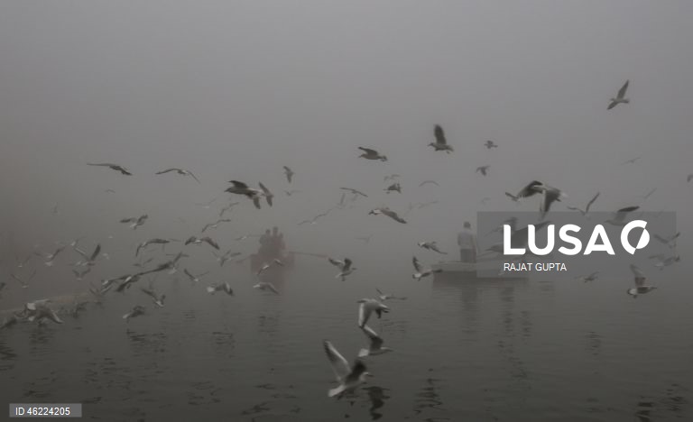 Delhi vai aplicar a política «Sem PUC, sem combustível» para combater a poluição atmosférica