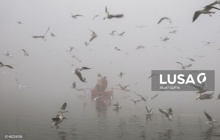 Delhi vai aplicar a política «Sem PUC, sem combustível» para combater a poluição atmosférica