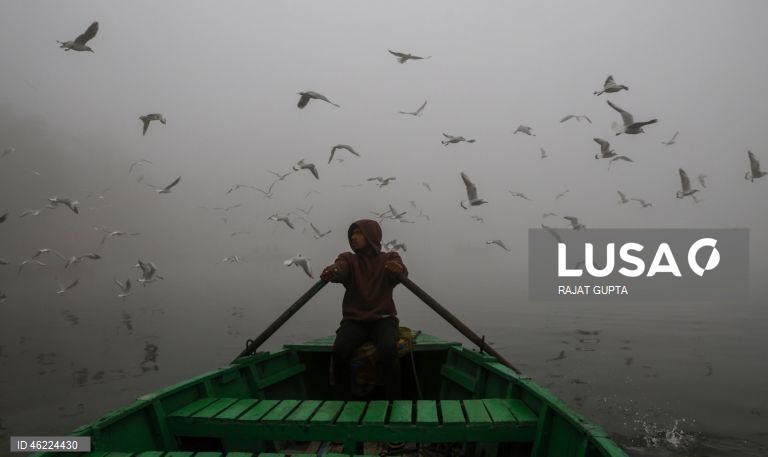 Delhi vai aplicar a política «Sem PUC, sem combustível» para combater a poluição atmosférica