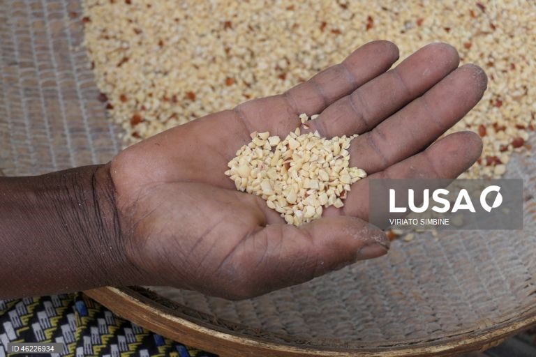 Moçambique: Venda de pasteis de feijão nas ruas de Maputo