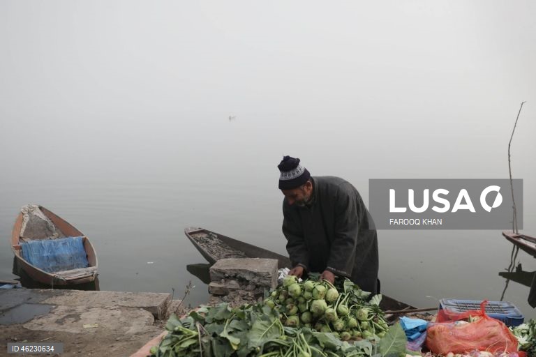 Índia: Quotidiano em Srinagar, Caxemira