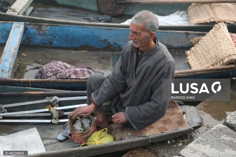 Índia: Quotidiano em Srinagar, Caxemira