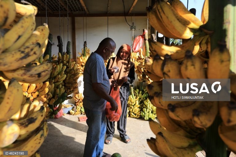 Indonésia: Mercado de rua em Aceh Besar