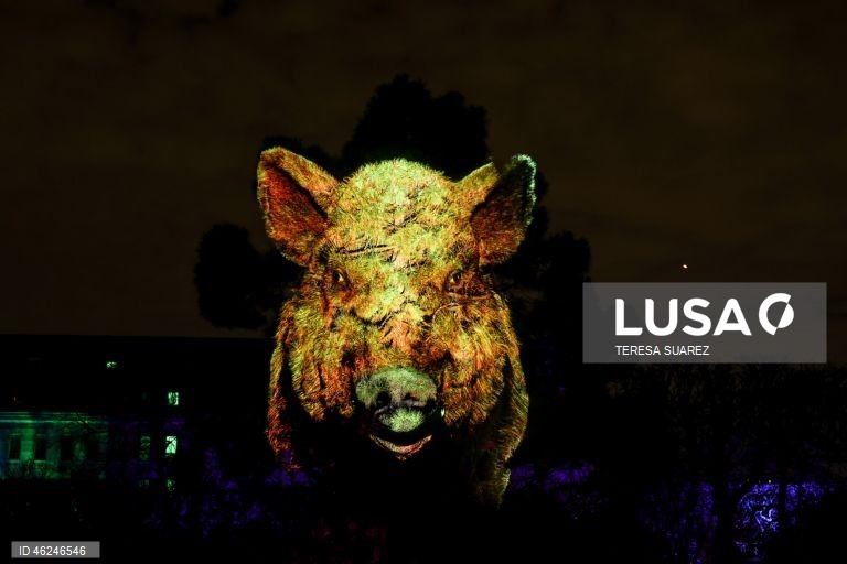 França: Festival de luzes em Paris