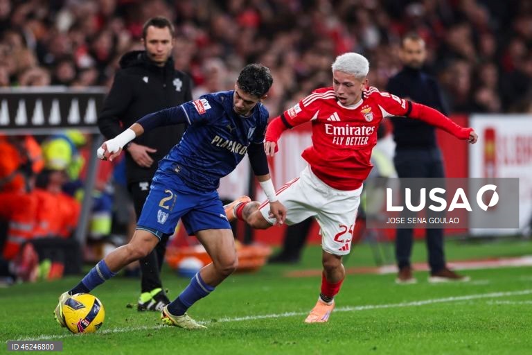 Um golo de Pavlidis, na conversão de uma grande penalidade, foi o suficiente para o Benfica vencer hoje na receção ao Famalicão por 1-0, em jogo da 15.ª jornada da I Liga de futebol.