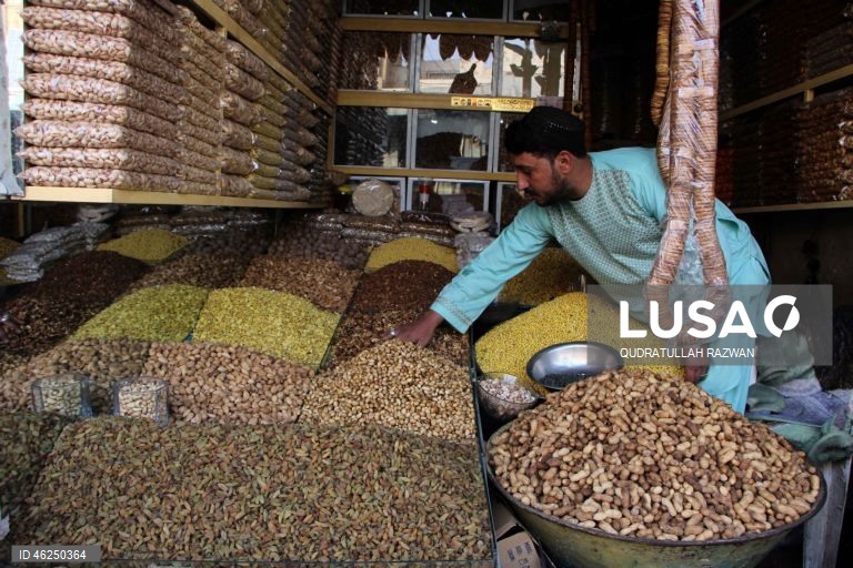 Com o início do inverno, a procura por nozes e frutos secos aumenta, impulsionada pelos hábitos de consumo sazonais. Esse aumento destaca o papel essencial das nozes e frutos secos na dieta durante os meses mais frios do Afeganistão.